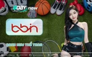 BBIN Thể Thao 8Day – cổng cược quốc tế đỉnh cao 1 bbin the thao 8day